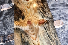 Urban-Bark-1