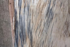 IMG952020012295104530