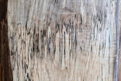 IMG952020032795124908