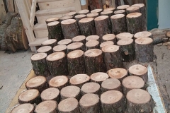 Inventory7