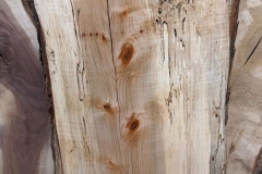 image00000227
